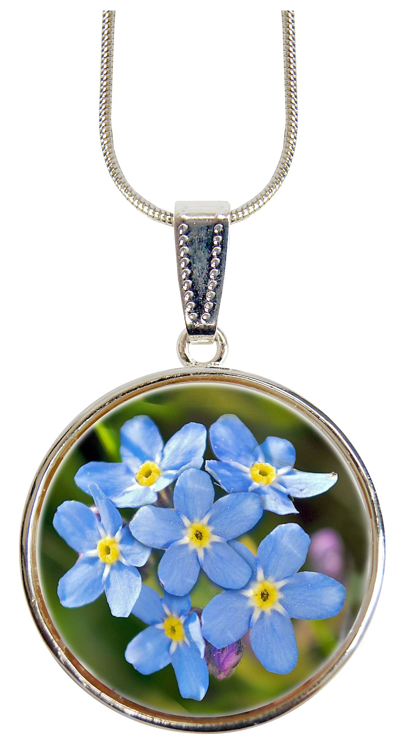 Forget-Me-Not Alaska Silver-Plated Mother of Pearl Jewelry Pendant Necklace - 44158-2