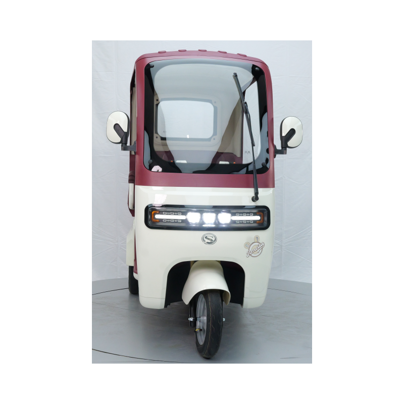 Georbella 1500W electric tricycle front view