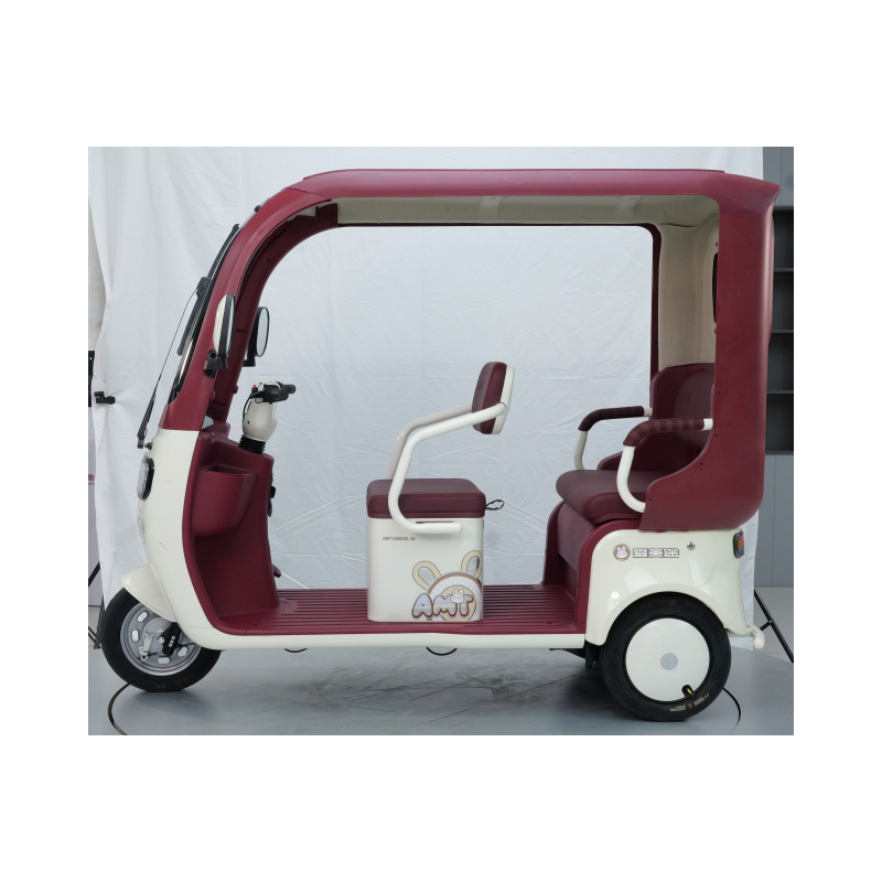 Three-wheel electric cargo e-bike side view