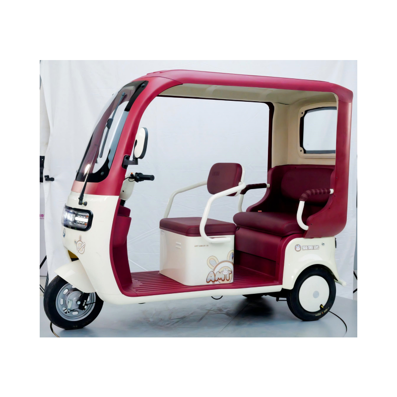 Dual seating passenger electric trike