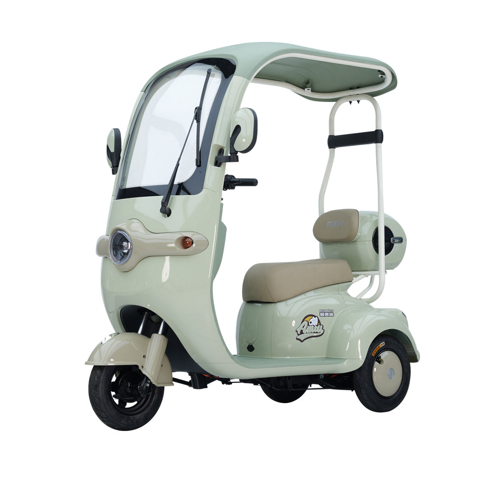 60V/20A battery powered 3-wheel e-bike
