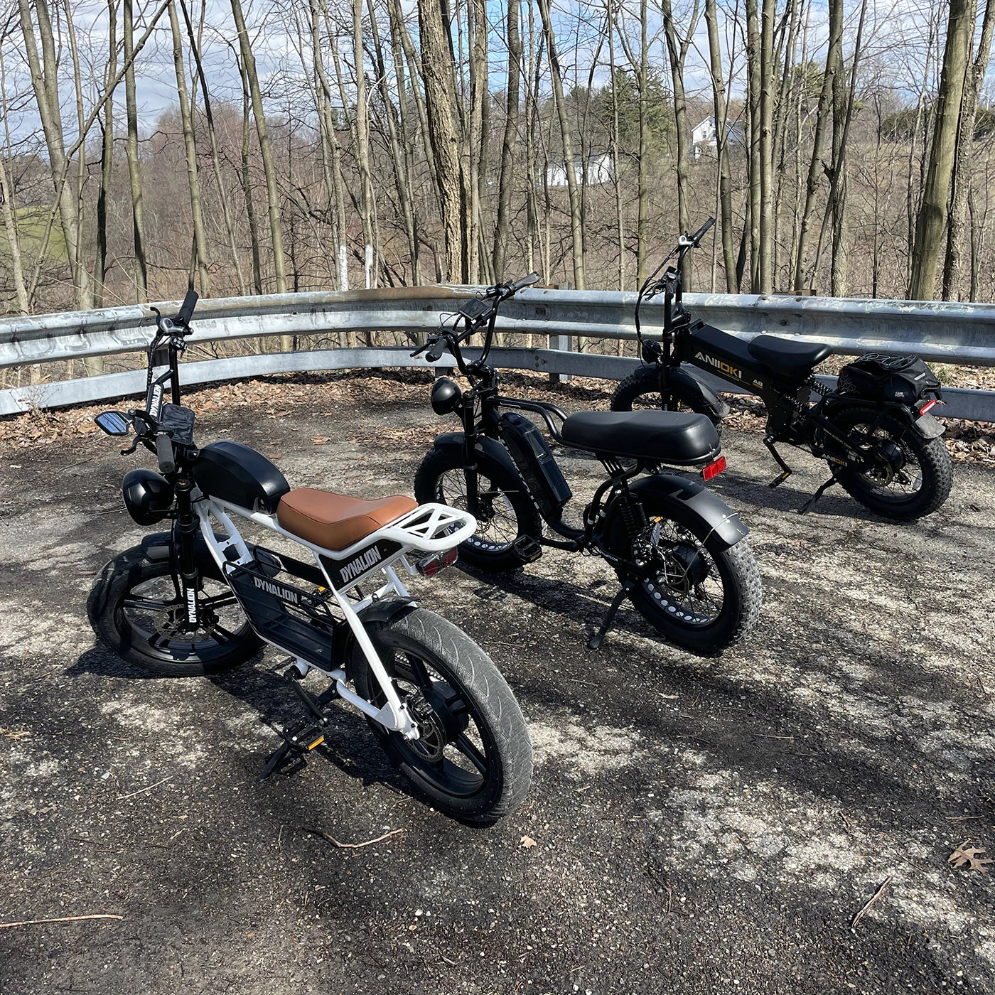 Dynavolt K7-2 Electric Mountain Bike 1000W 7-Speed Steel Frame Rear Hub Motor Lithium Battery Fat Tire for Young People-3