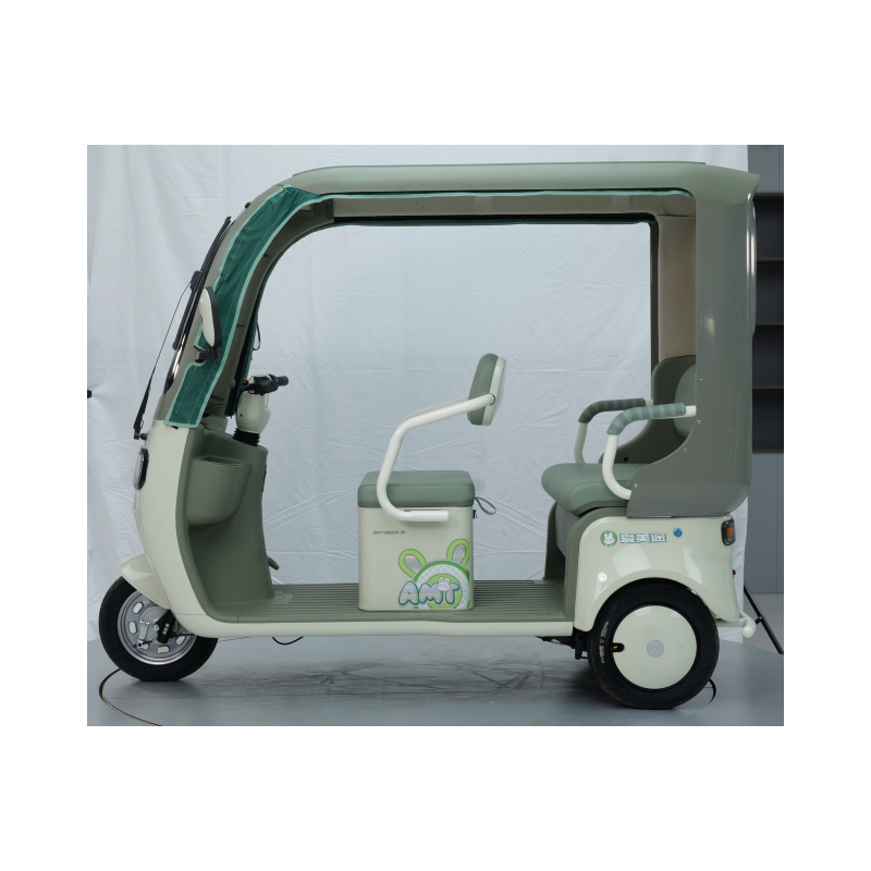 Rear cargo view of Georbella electric trike