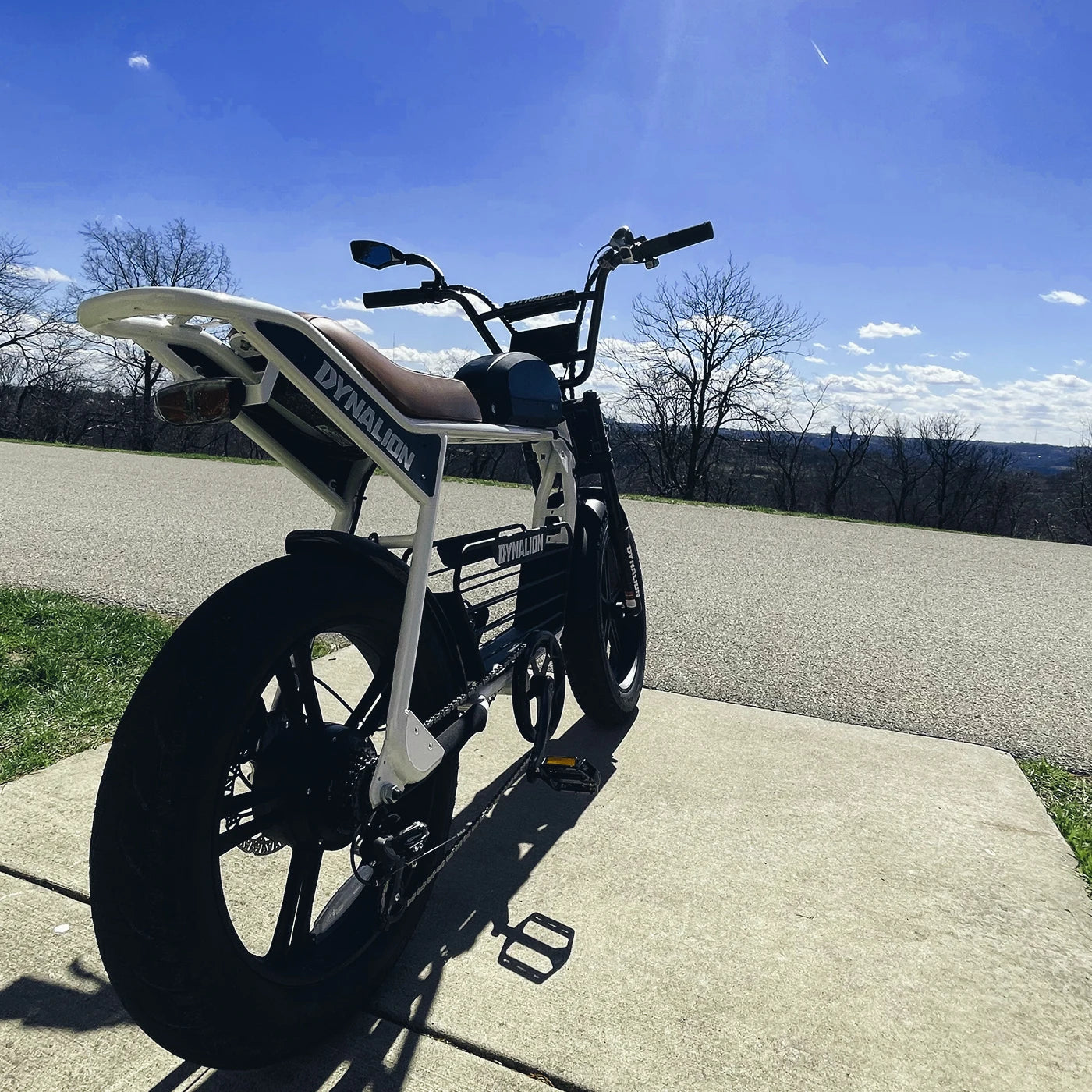 Dynavolt K7-2 Electric Mountain Bike 1000W 7-Speed Steel Frame Rear Hub Motor Lithium Battery Fat Tire for Young People-2