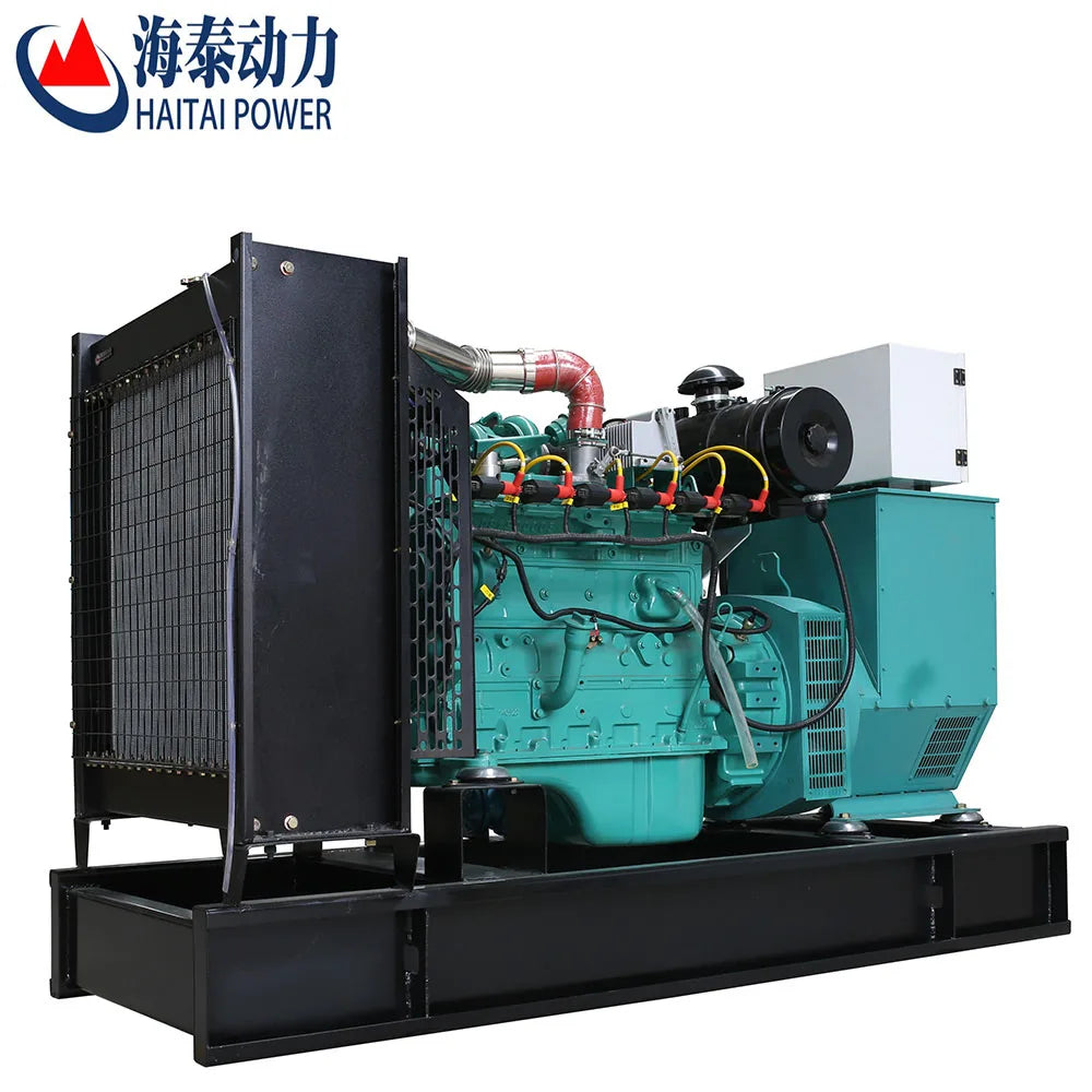 Busy Sale CE ISO 3 Phase Silent 20kw Natural Gas Generator 25kva with cummins Weichai Ricardo-5