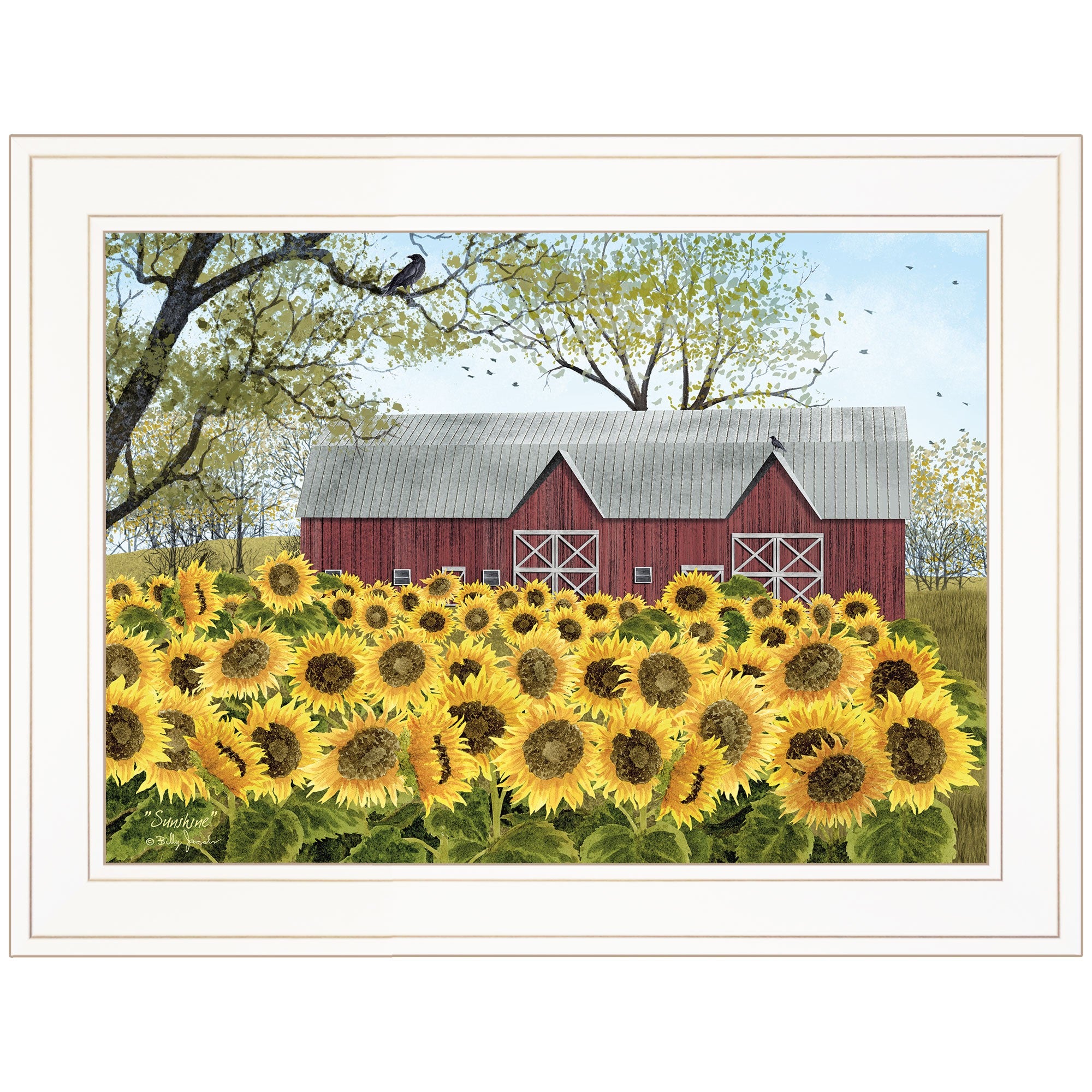 Sunshine 1 White Framed Print Wall Art-1