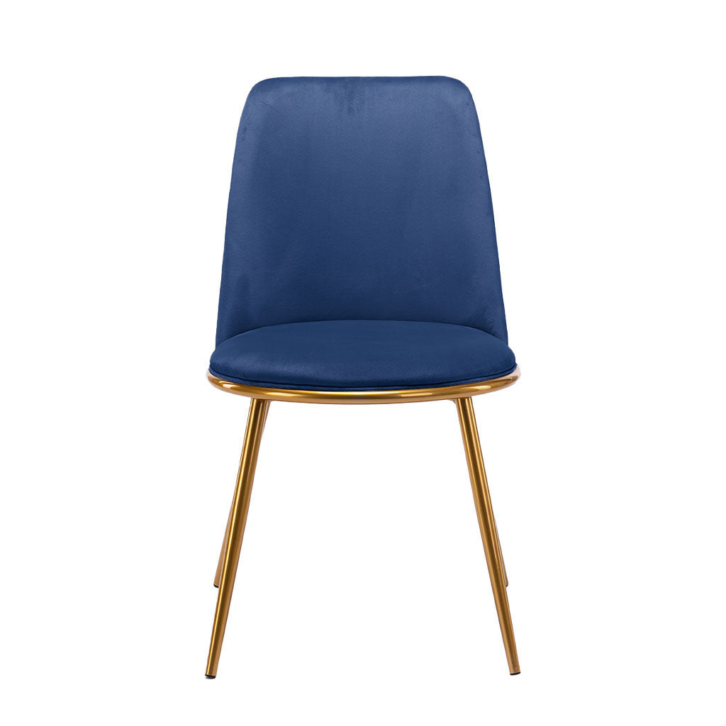 Blue And Gold Upholstered Velvet Dining Side Chair-2