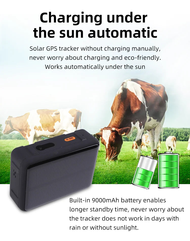 Gps Livestock Collar Tracker Wild Animal Tracking With Solar Panel for Cattle Animals Pet Cow Sheep Chip Beehives Iot Ear Tag-2