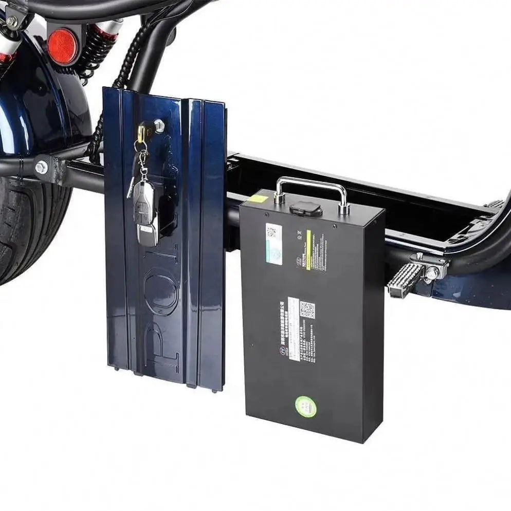 New Promotional Various Citycoco 1500W-2000W Fat Tire Electric Scooter With EEC and COC Certificate-4