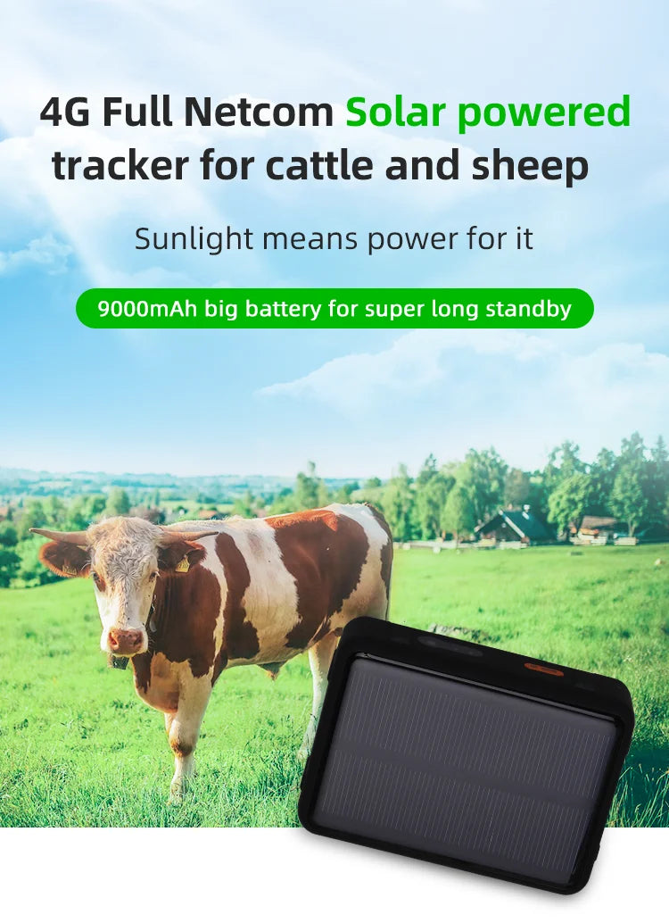 Gps Livestock Collar Tracker Wild Animal Tracking With Solar Panel for Cattle Animals Pet Cow Sheep Chip Beehives Iot Ear Tag-3
