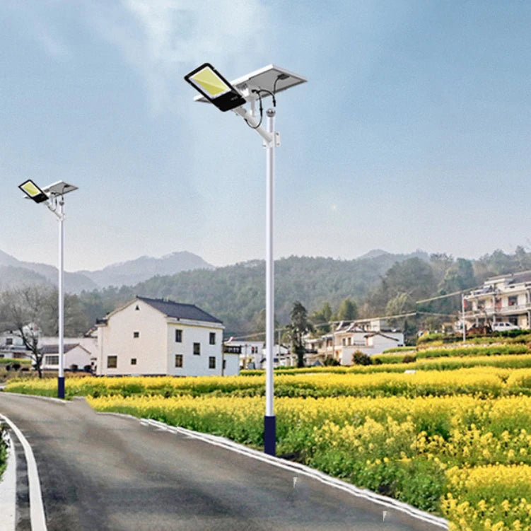 IP65 Rated Outdoor Engineering Street Lamps LED Light Optical Inductor Remote Control Separate Solar Panel for Rural Areas-0