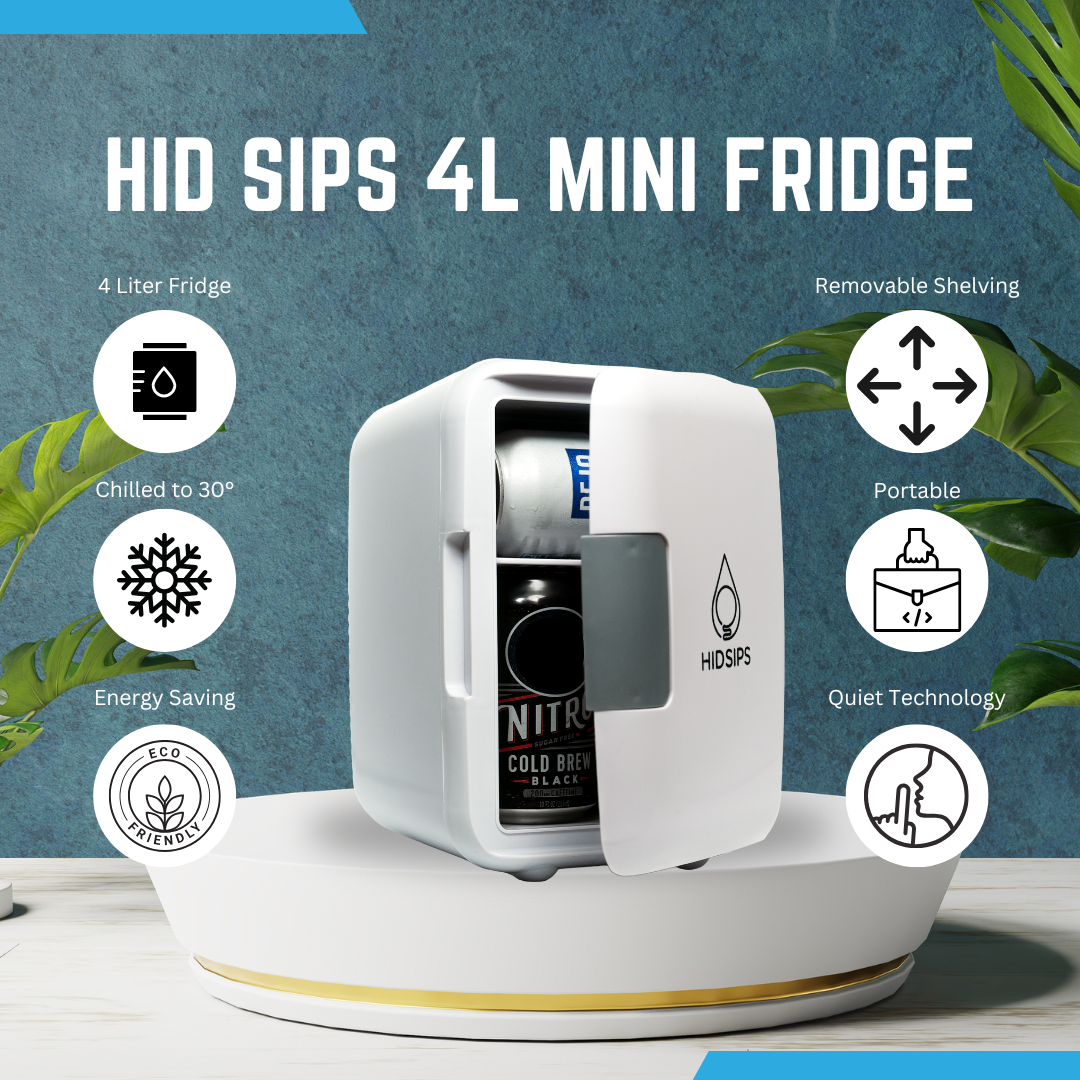SYPS 4L Mini Fridge-1
