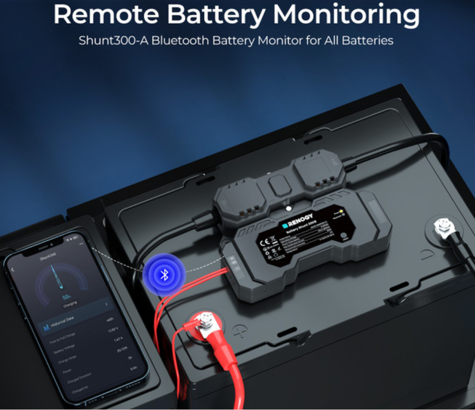RENOGY Battery Shunt 300-1