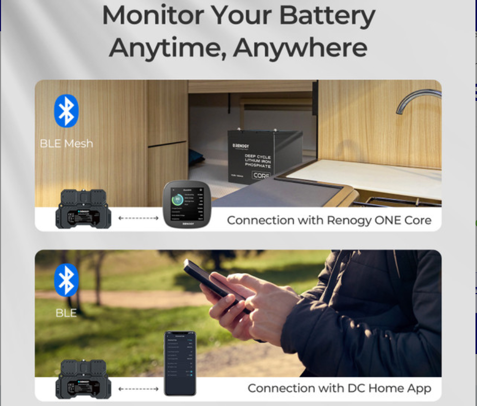 RENOGY Battery Shunt 300-3
