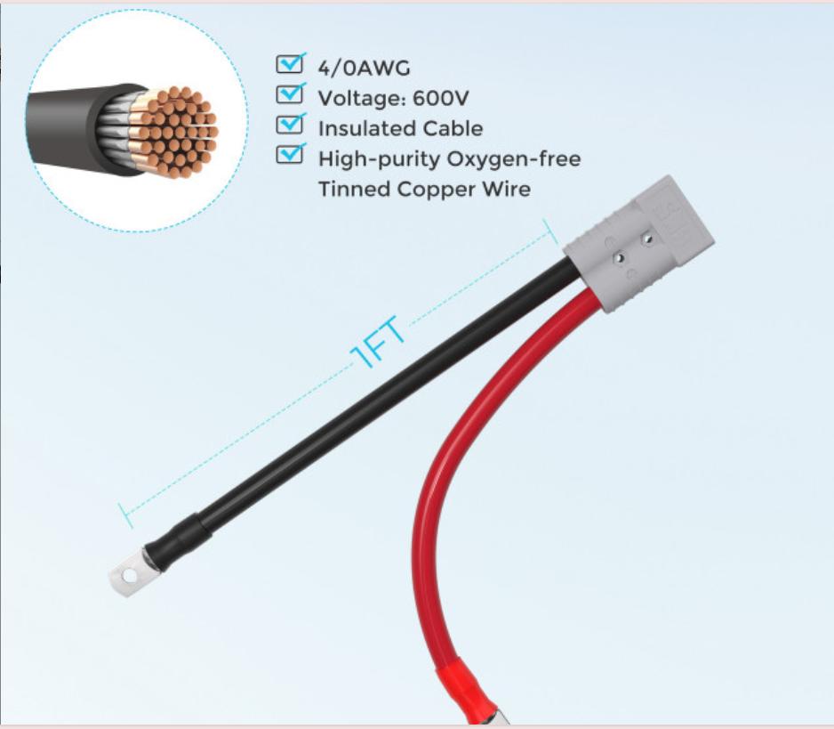 Renogy 10FT 6AWG Anderson Adapter Cable (Anderson PP75 - Ring Lug)-1