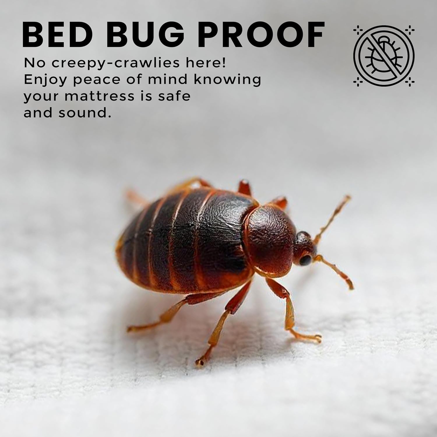 Premium Waterproof Bed Bug Mattress Cover, Zippered Mattress Protector, 10 Inches Deep, Dust Mite Proof 6-Sided Mattress Encasement for Bed-1
